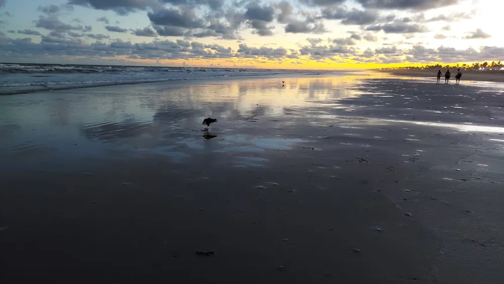 Orla de Aracaju com praia e pôr do sol, Sergipe